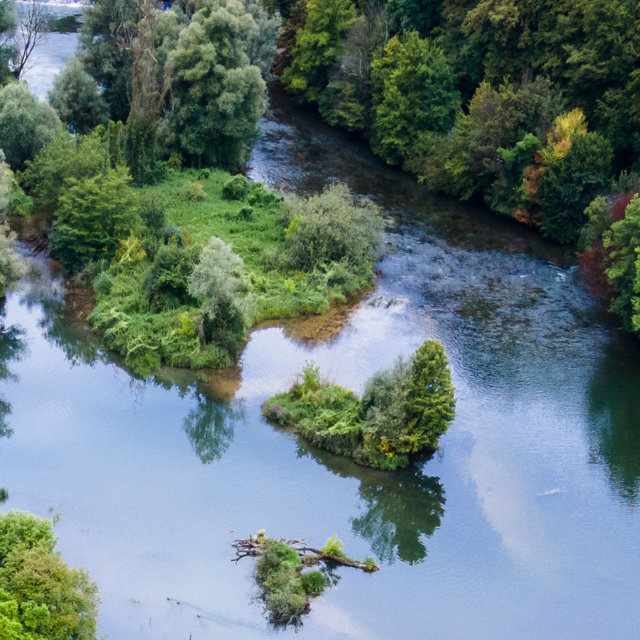 MEDIOAMBIENTE